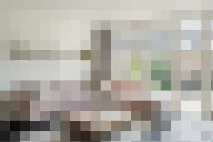 Meester van Boemellaan 10 's-Hertogenbosch thumbnail 7