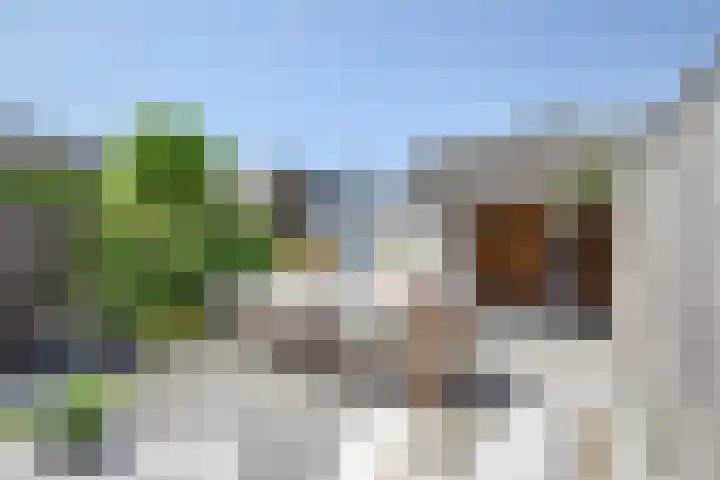 Meester van Boemellaan 6 's-Hertogenbosch thumbnail 21