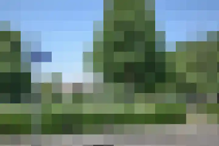 Meester van Boemellaan 6 's-Hertogenbosch thumbnail 36
