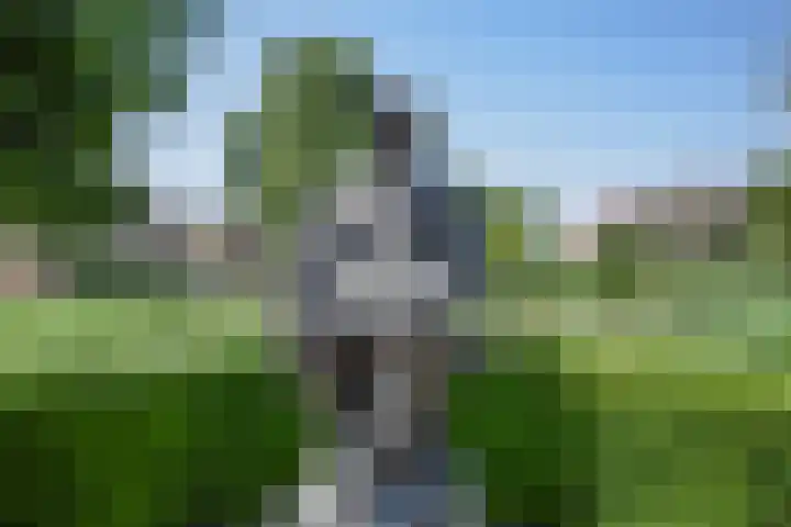 Meester van Boemellaan 6 's-Hertogenbosch thumbnail 37
