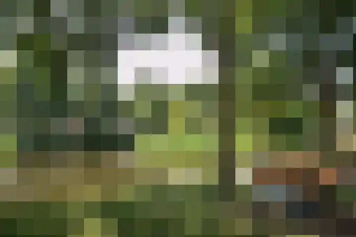 Meester van Boemellaan 6 's-Hertogenbosch thumbnail 38