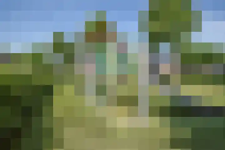 Meester van Boemellaan 6 's-Hertogenbosch thumbnail 39