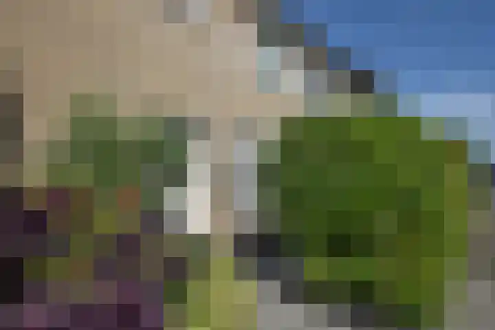 Meester van Boemellaan 6 's-Hertogenbosch thumbnail 6