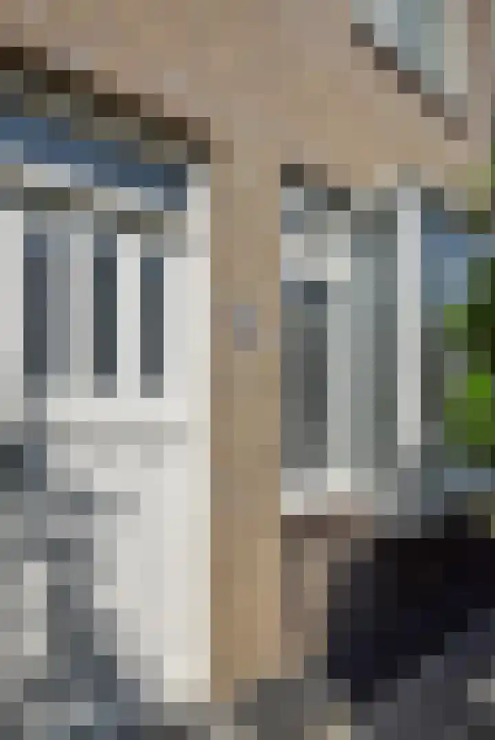 Meester van Boemellaan 6 's-Hertogenbosch thumbnail 7