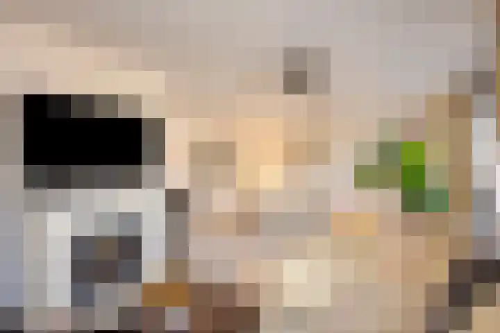 Meester van Busselstraat 43 Mierlo thumbnail 12