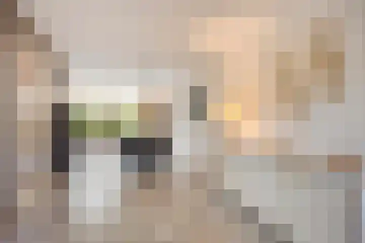 Meester van Busselstraat 43 Mierlo thumbnail 13