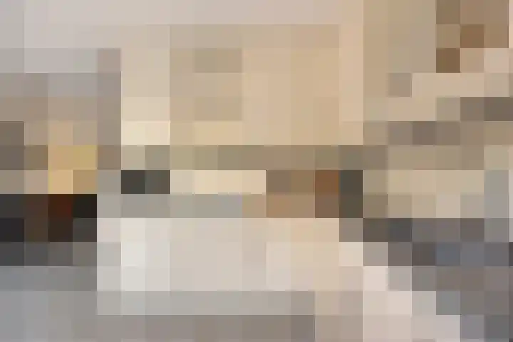 Meester van Busselstraat 43 Mierlo thumbnail 17