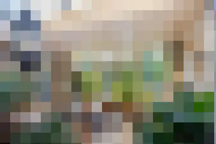 Meester van Busselstraat 43 Mierlo thumbnail 20