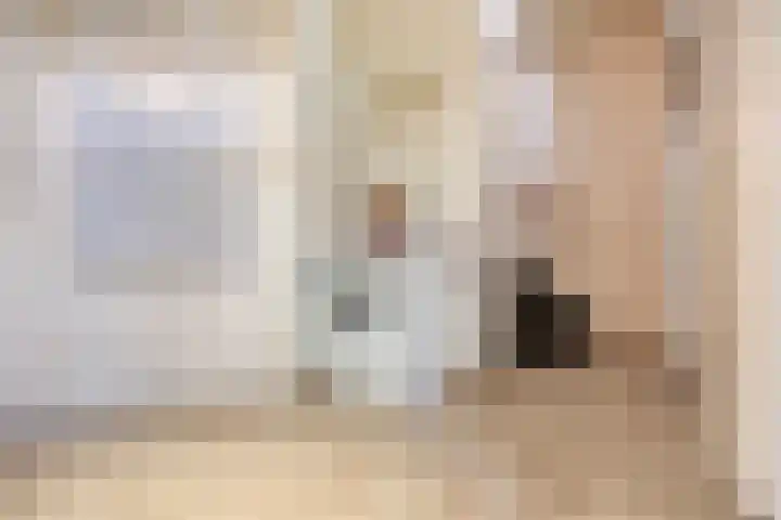 Meester van Busselstraat 43 Mierlo thumbnail 24