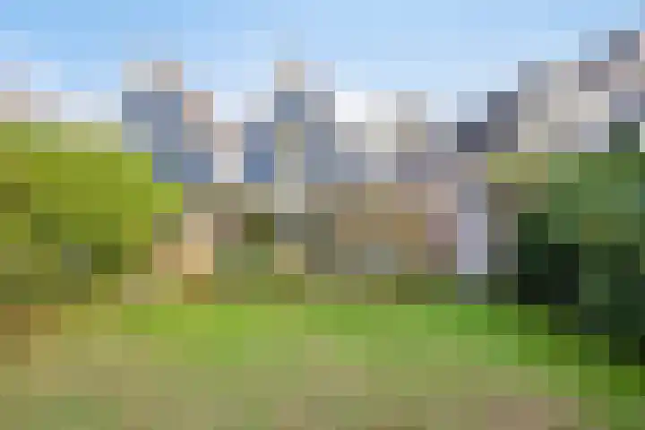 Meester van Busselstraat 43 Mierlo thumbnail 27