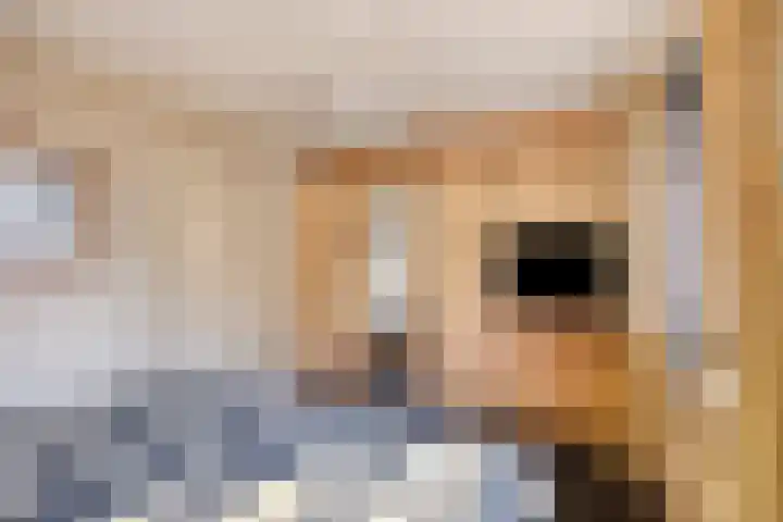 Meester van Busselstraat 43 Mierlo thumbnail 33
