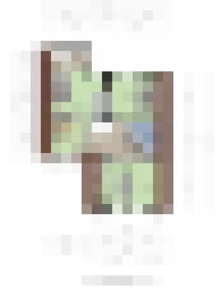 Meester van Busselstraat 43 Mierlo thumbnail 41