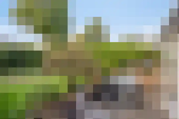 Meester van Busselstraat 43 Mierlo thumbnail 45