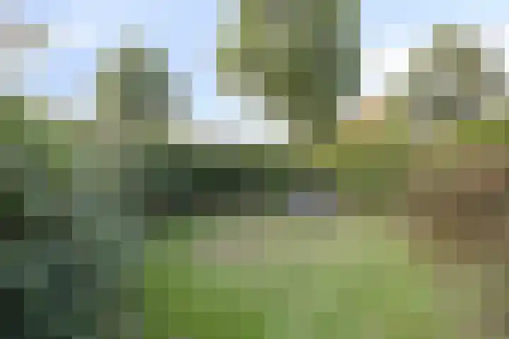 Meester van Busselstraat 43 Mierlo thumbnail 46