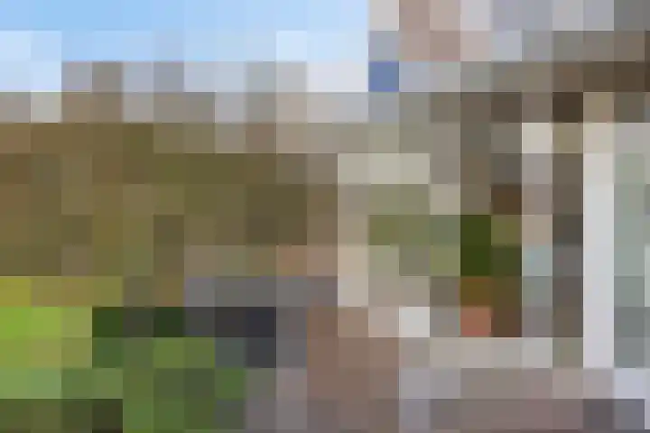 Meester van Busselstraat 43 Mierlo thumbnail 47