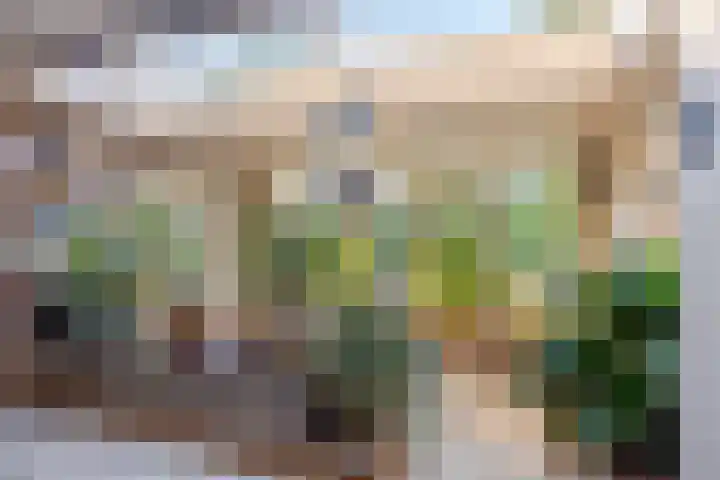 Meester van Busselstraat 43 Mierlo thumbnail 5