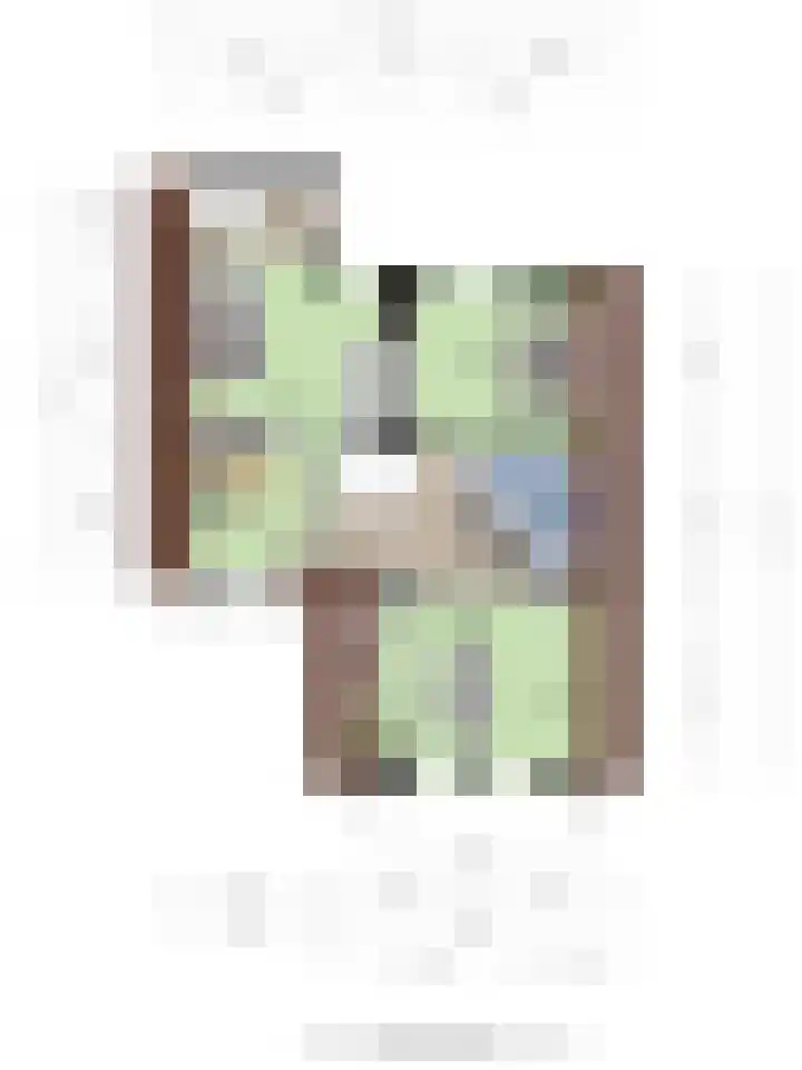 Meester van Busselstraat 43 Mierlo thumbnail 52