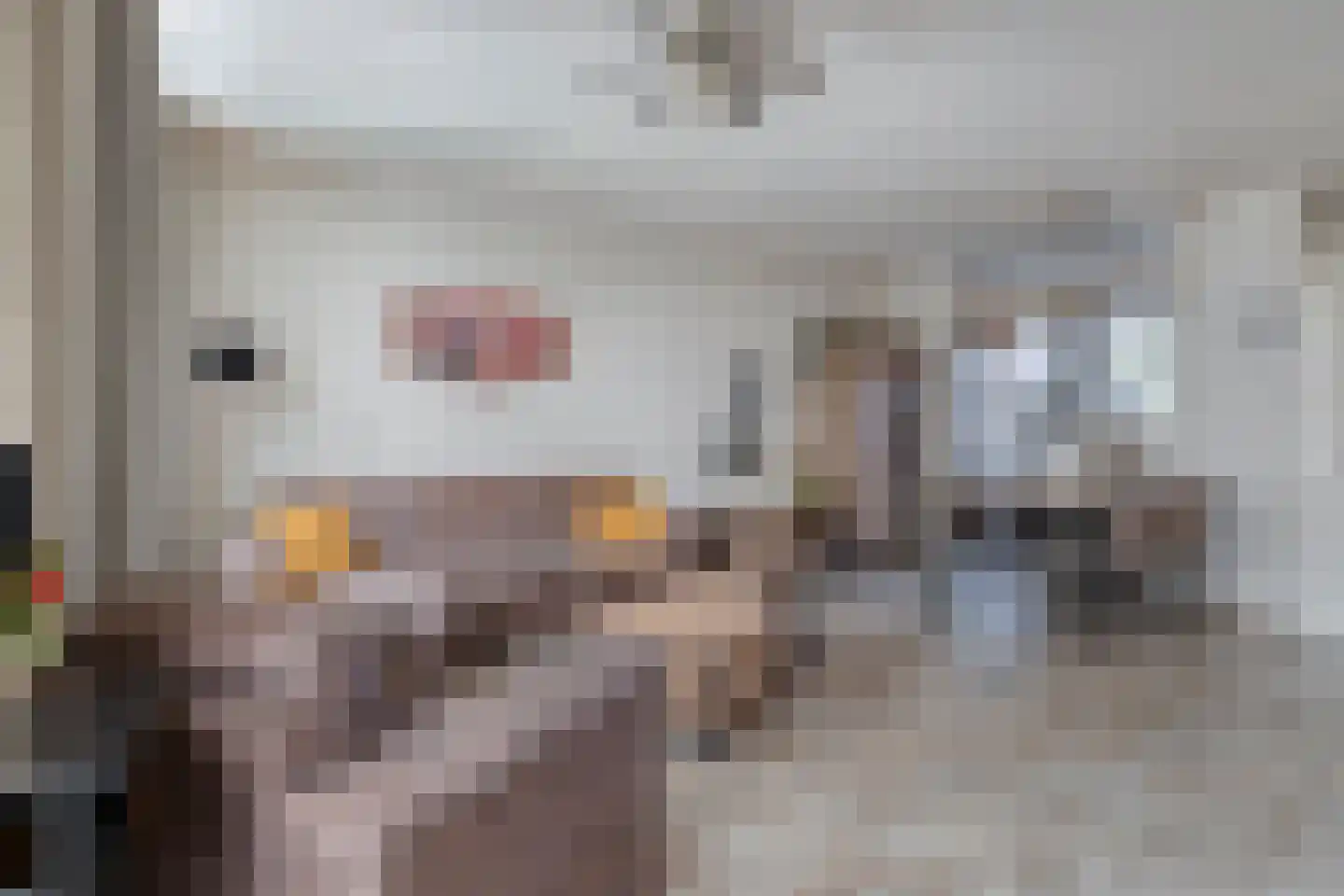 Meester van Busselstraat 6 Mierlo thumbnail 12