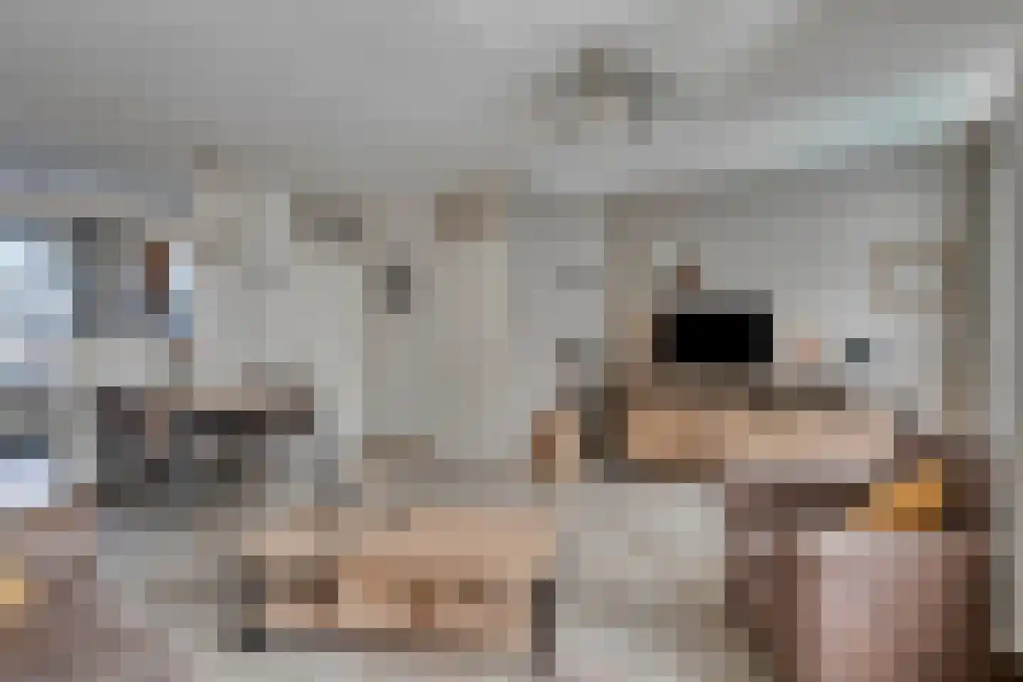 Meester van Busselstraat 6 Mierlo thumbnail 13