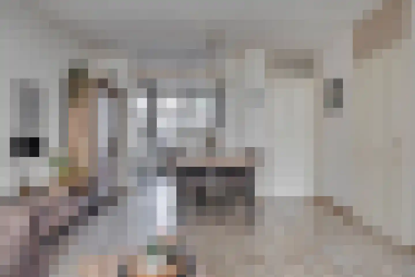 Meester van Busselstraat 6 Mierlo thumbnail 14