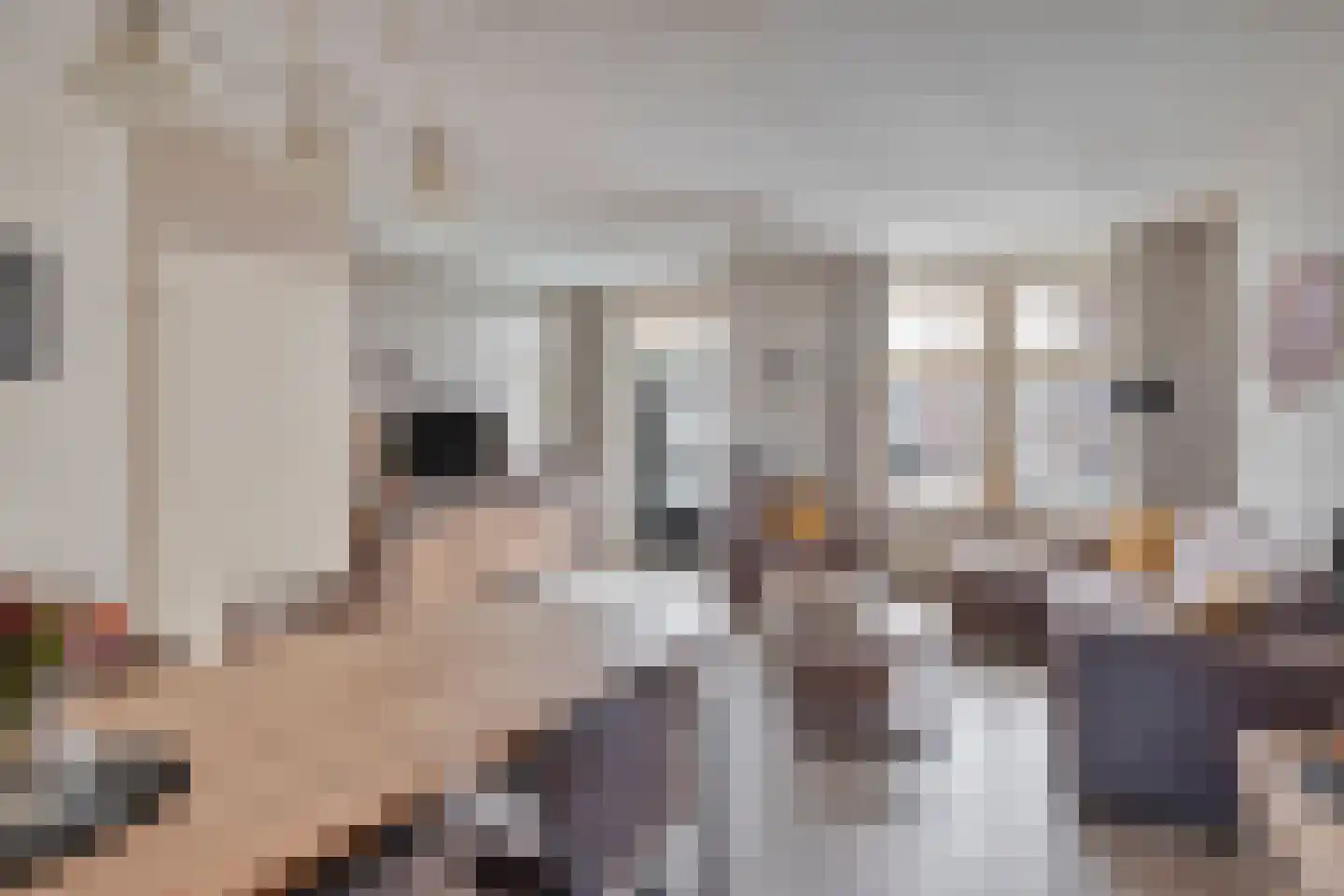 Meester van Busselstraat 6 Mierlo thumbnail 15