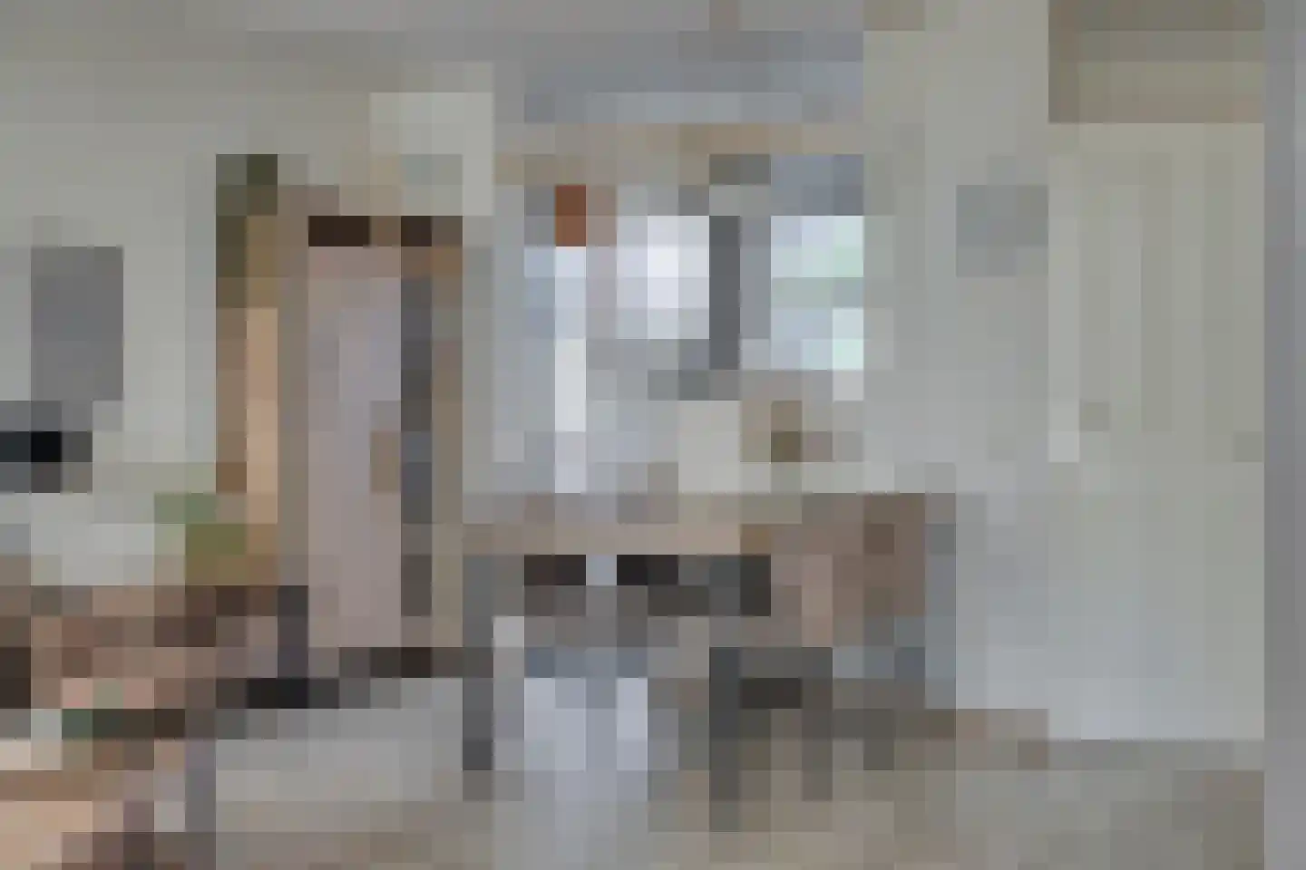 Meester van Busselstraat 6 Mierlo thumbnail 19