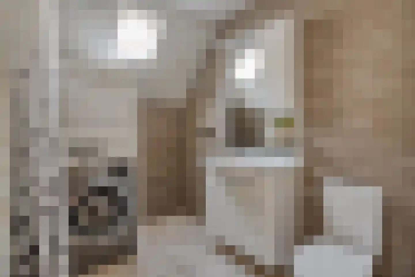 Meester van Busselstraat 6 Mierlo thumbnail 24
