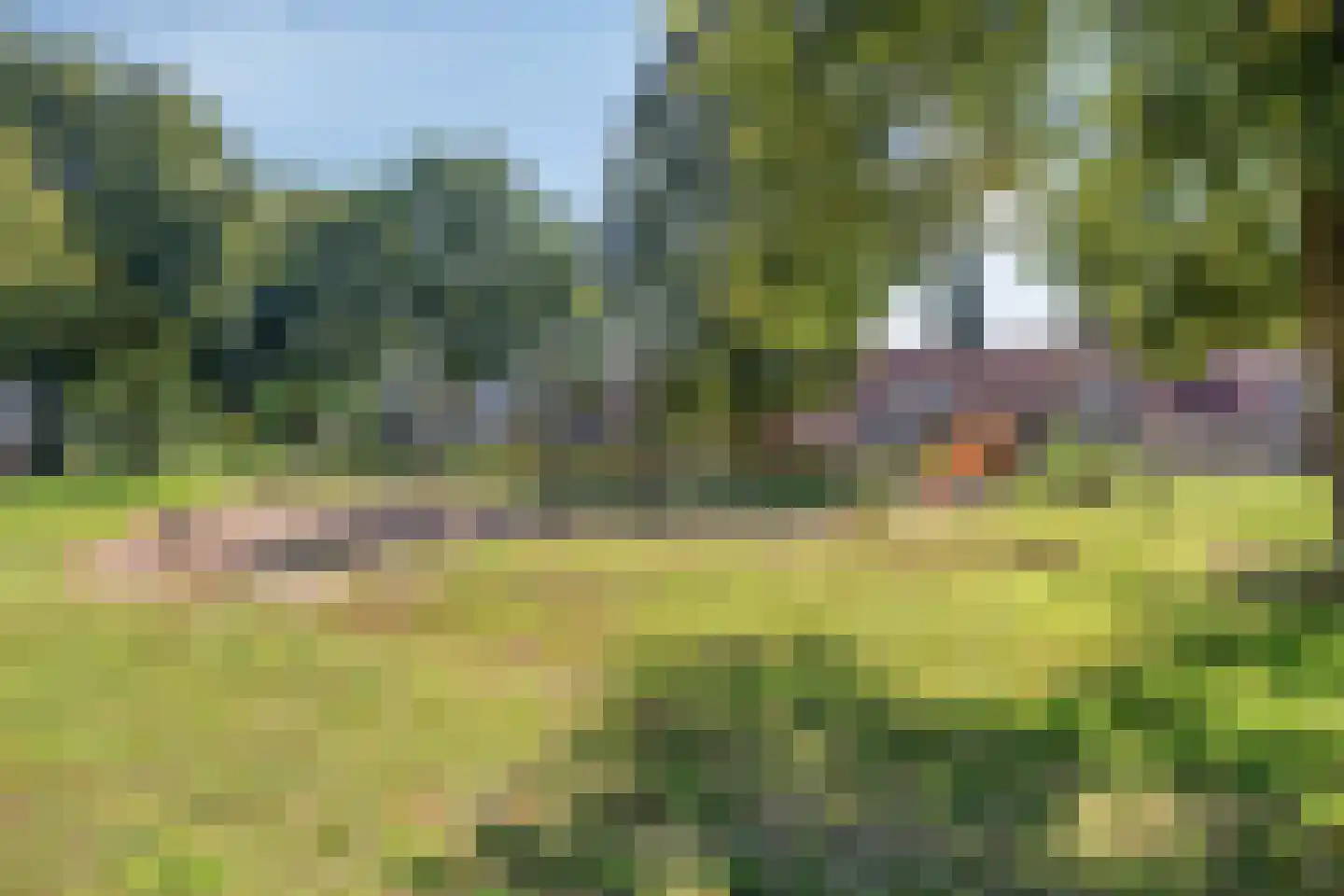 Meester van Busselstraat 6 Mierlo thumbnail 38