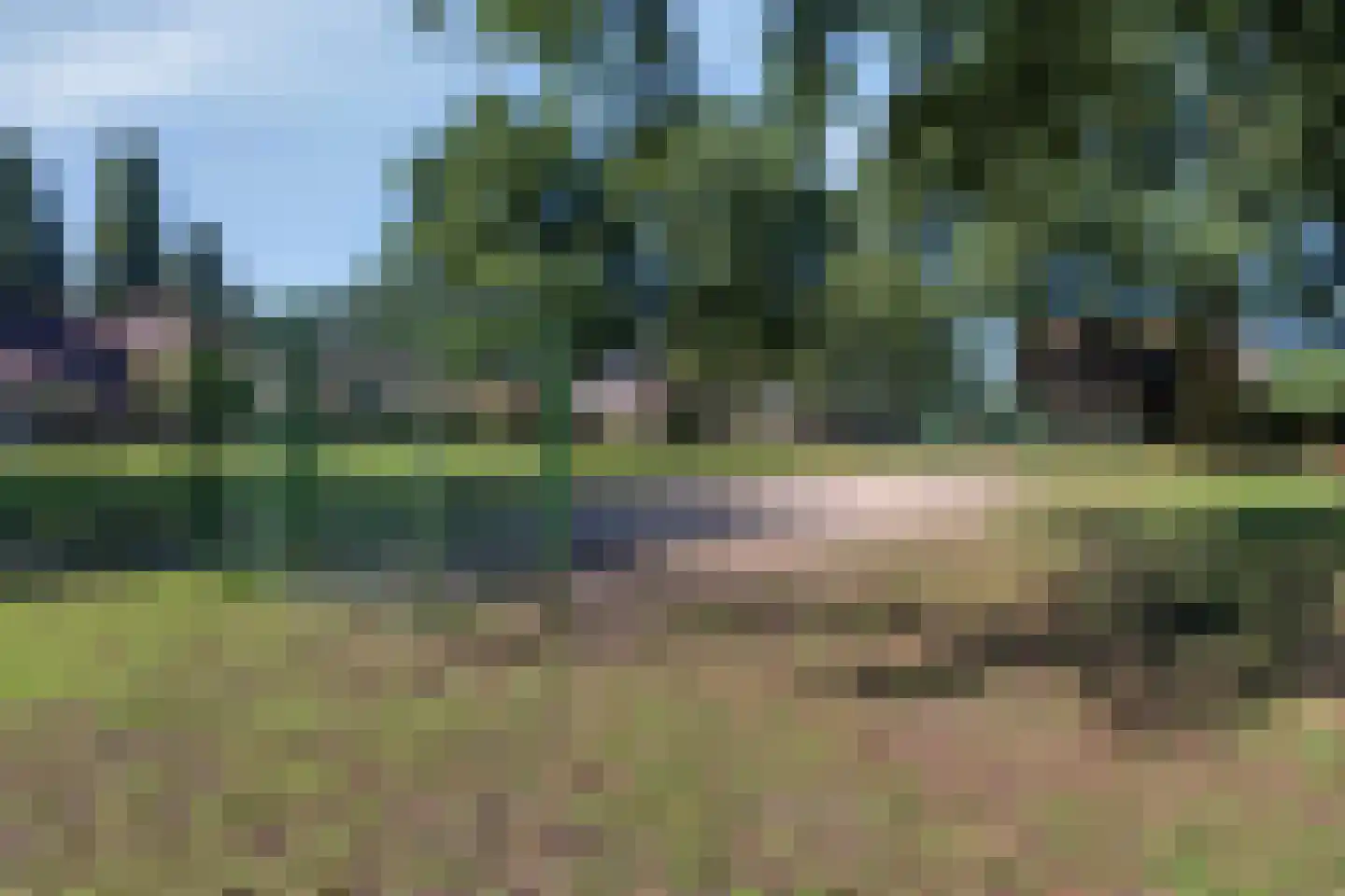 Meester van Busselstraat 6 Mierlo thumbnail 39