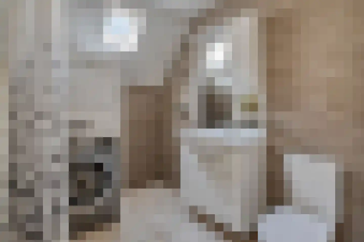 Meester van Busselstraat 6 Mierlo thumbnail 5