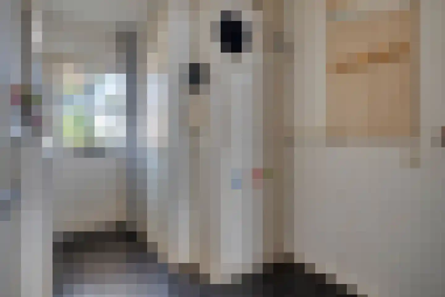 Meester van Busselstraat 6 Mierlo thumbnail 9