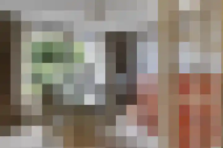 Meester van Busselstraat 82 Mierlo thumbnail 11
