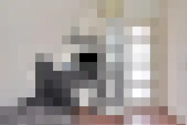 Meester van Busselstraat 82 Mierlo thumbnail 22