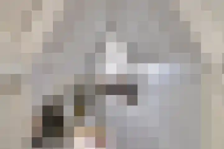 Meester van Busselstraat 82 Mierlo thumbnail 26