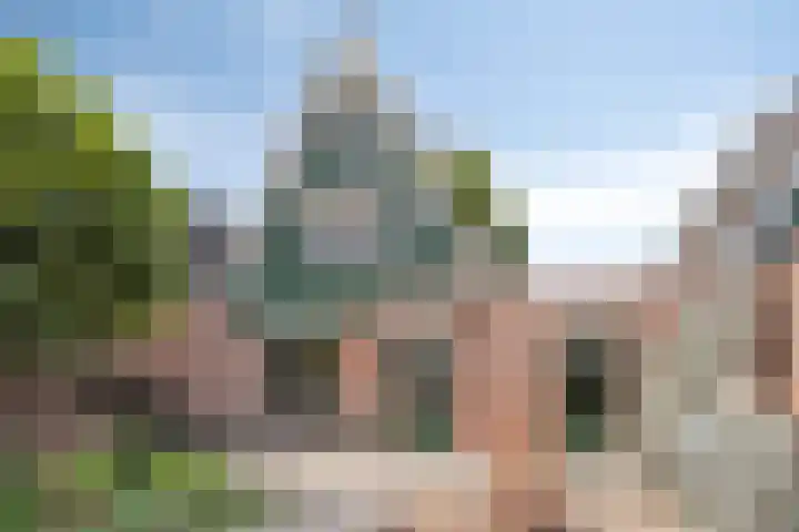 Meester van Busselstraat 82 Mierlo thumbnail 31