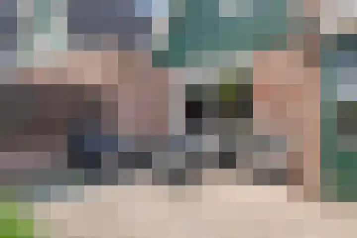 Meester van Busselstraat 82 Mierlo thumbnail 32