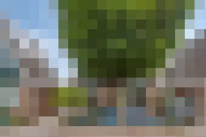Meester van Busselstraat 82 Mierlo thumbnail 4