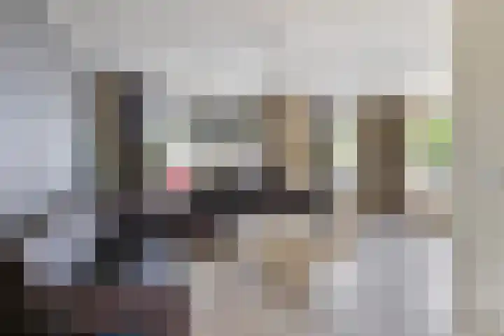 Meester van Busselstraat 82 Mierlo thumbnail 5