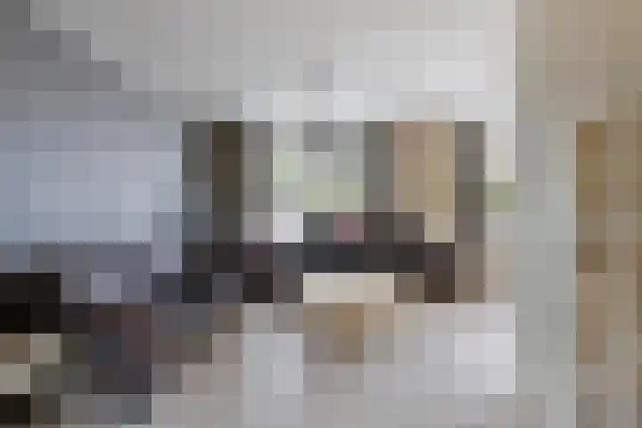 Meester van Busselstraat 82 Mierlo thumbnail 6