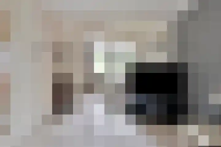 Meester van Busselstraat 82 Mierlo thumbnail 8