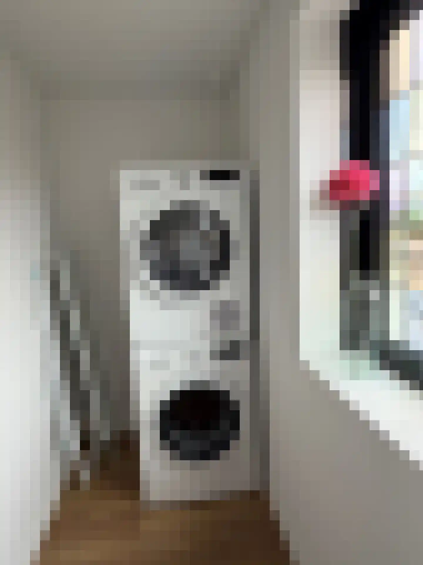 Meester van Coothlaan 37 Wijchen thumbnail 31