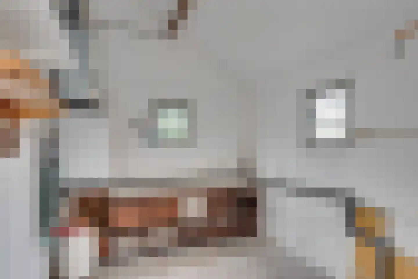 Meester van Coothlaan 37 Wijchen thumbnail 34