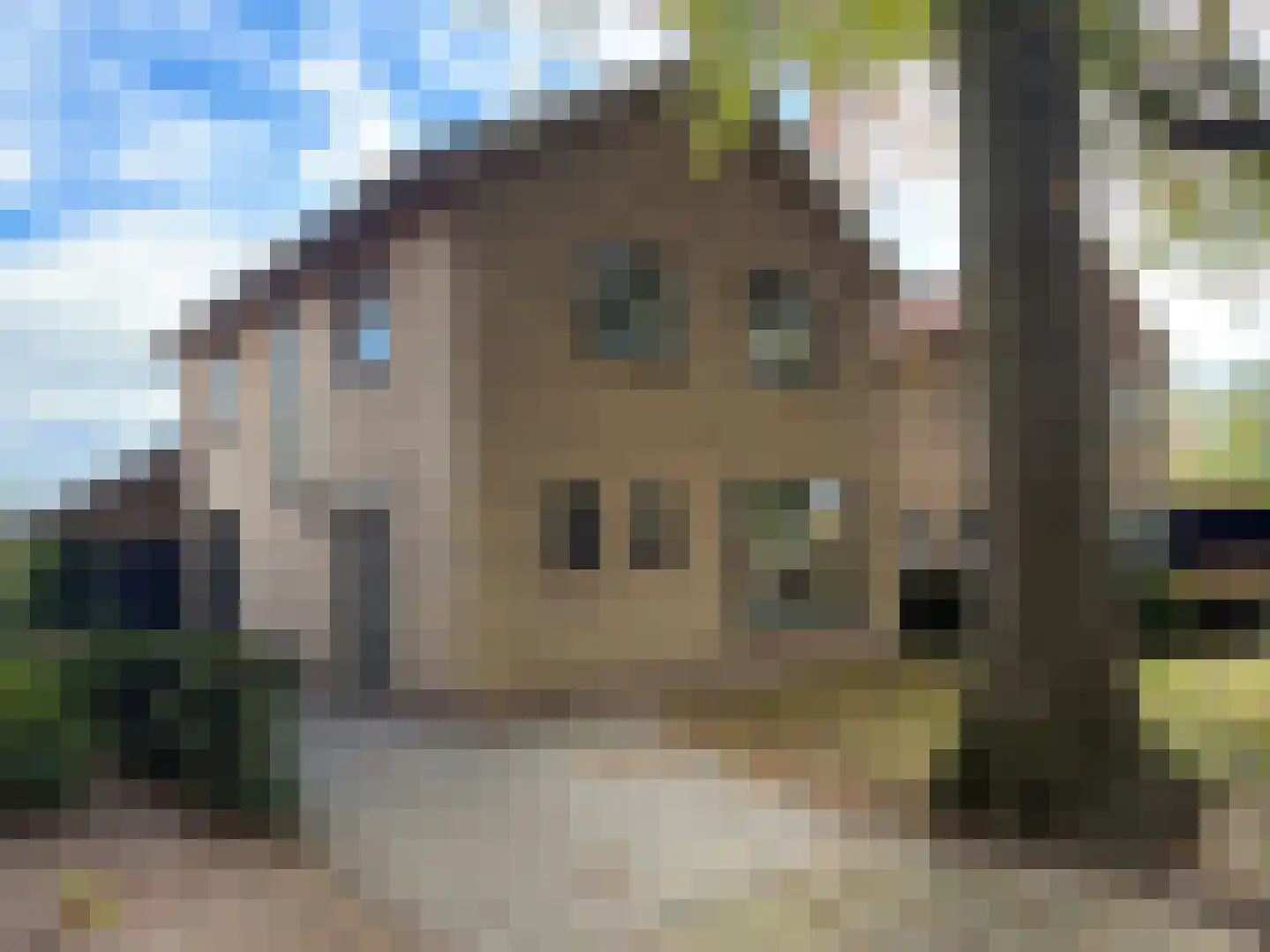 Meester van Coothlaan 37 Wijchen thumbnail 39