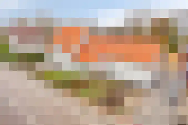 Meester van Coothstraat 12 A Lith thumbnail 5