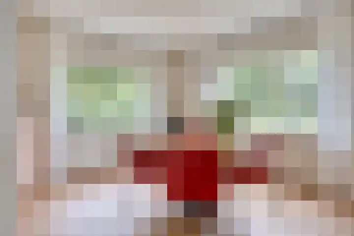 Meester van Coothstraat 18 A Lith thumbnail 9