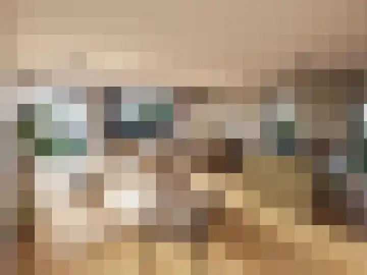 Meester van Coothstraat 18 Lith thumbnail 6