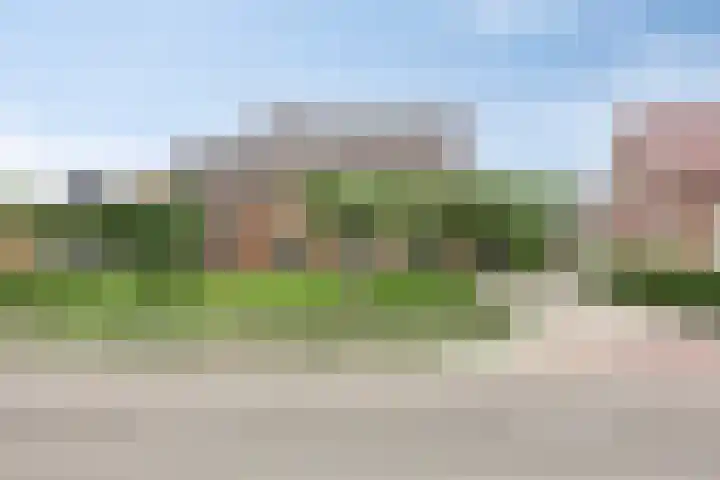 Meester van Coothstraat 21 in Lith