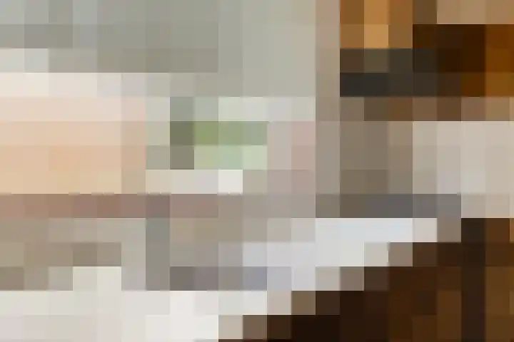 Meester van Coothstraat 21 A Lith thumbnail 13