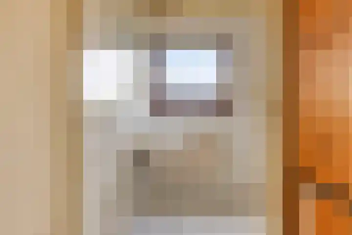 Meester van Coothstraat 21 A Lith thumbnail 23