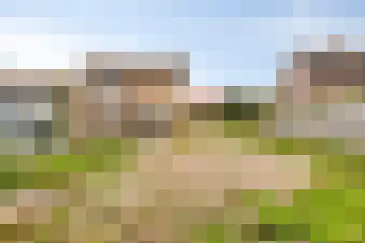 Meester van Coothstraat 21 A Lith thumbnail 30